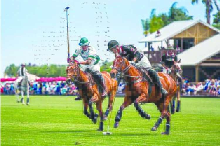 Polo galore, fashion and wine