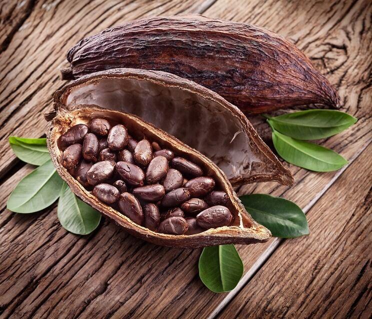 African cocoa giants come together on sales strategy