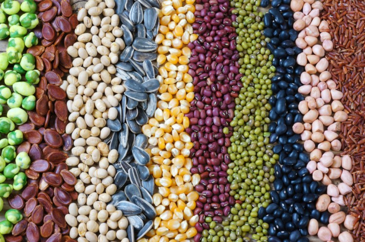 Govt supports Bio fortification of crops: Shiri
