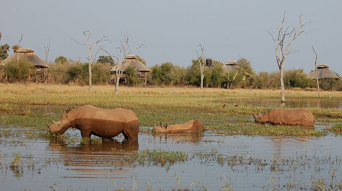 Matusadonha National Park, verdant and seldom visited