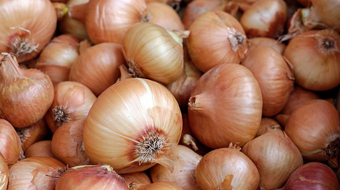 Traders, farmers in limbo as onions flood market