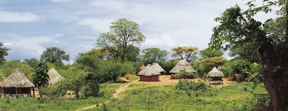 Stampede for investment in Kanyemba