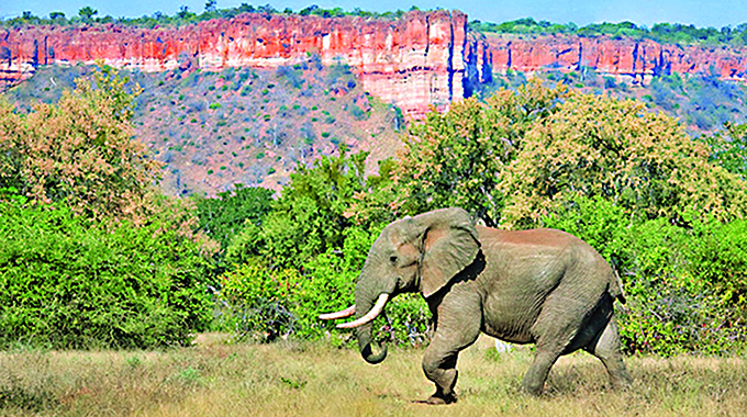 Gonarezhou: An untouched wilderness