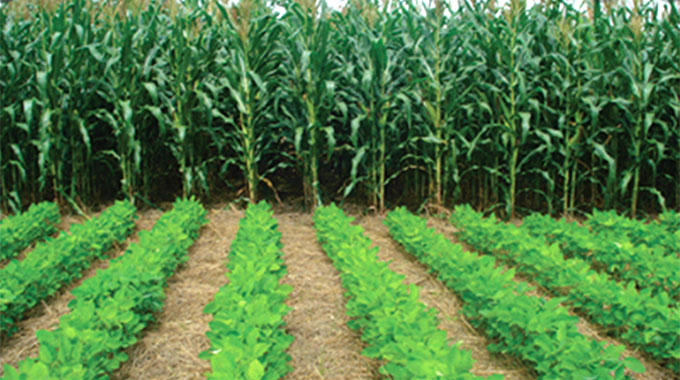 Robots disrupting farming