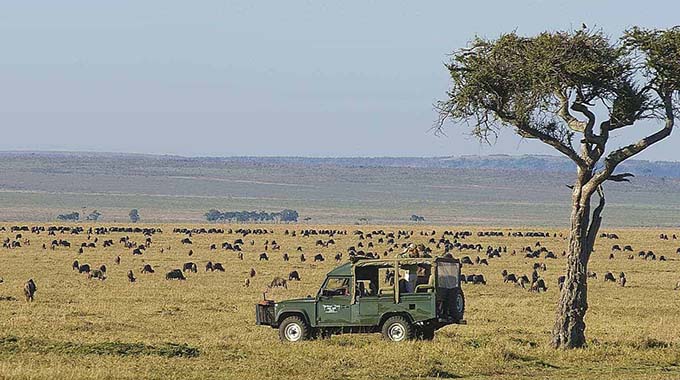 Jobs gone, investments wasted: Africa’s deserted safaris leave mounting toll