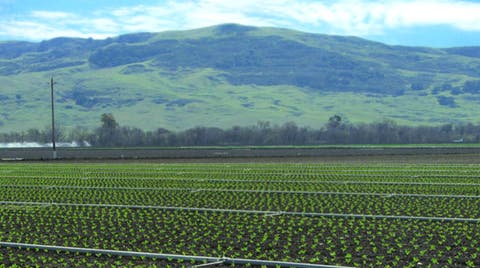 On Land Compensation and Public Trust