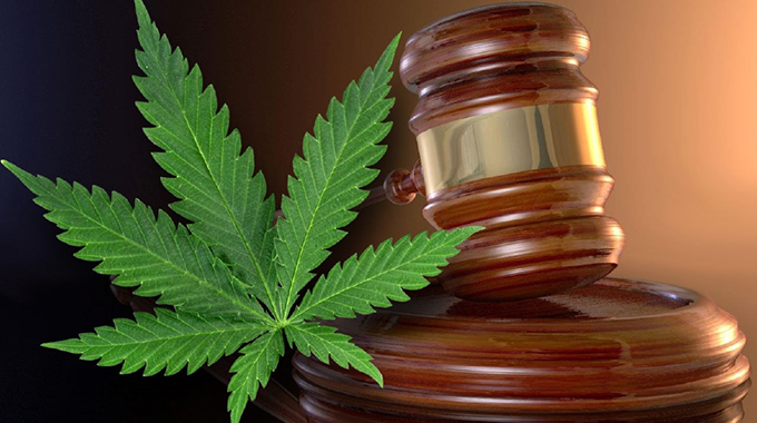 SA’s draft cannabis bill ‘misses the mark’