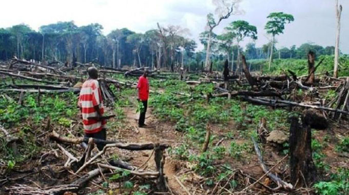 Depressed grid, connection costs escalate deforestation