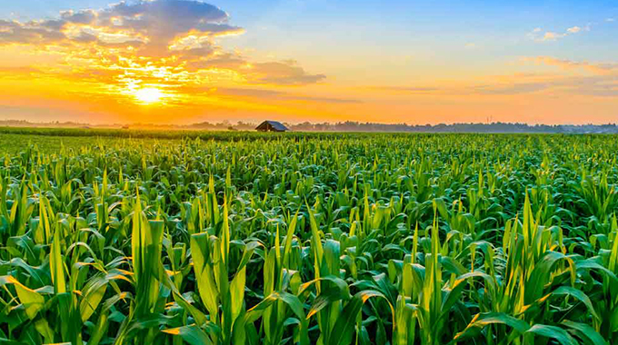 Zim should redirect agric spending