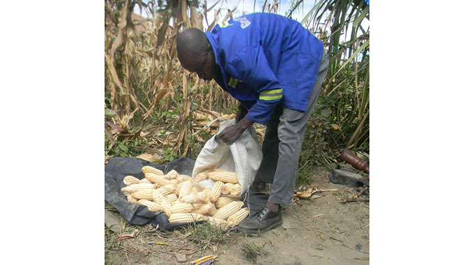 How Covid-19 affects households in poorest countries