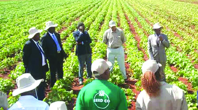 Seed Co International buys 35pc Zim stake