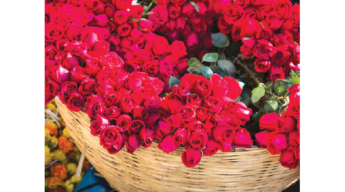 Dutch billionaire eyes horticulture industry