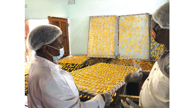Mango growers look to sun to boost incomes