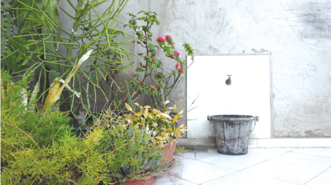 Water saving tips for your household