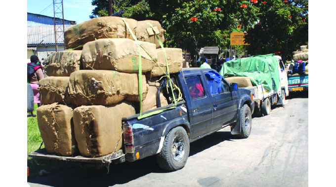 Zimbabwe’s tobacco sector gears for 2026 marketing season