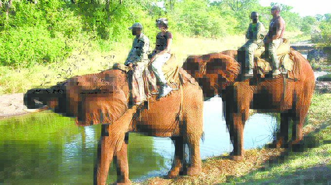 Tourist arrivals down 87 percent in January