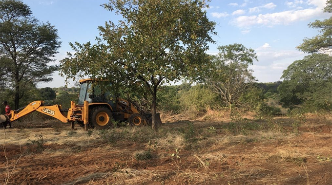 Invictus clears land for oil and gas project