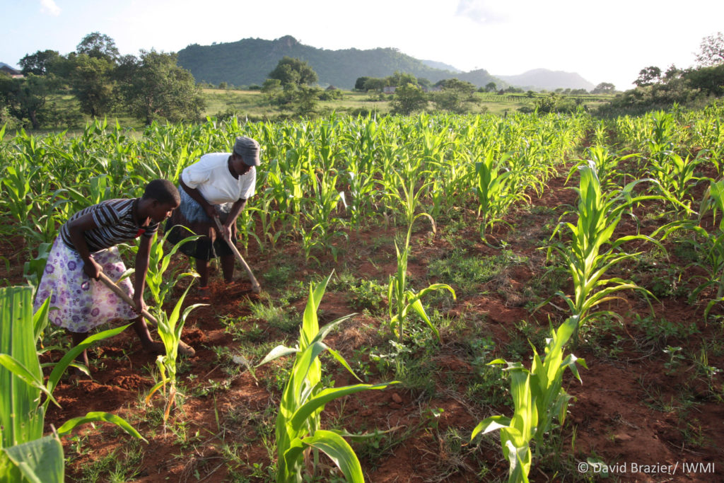 Does farming pay?