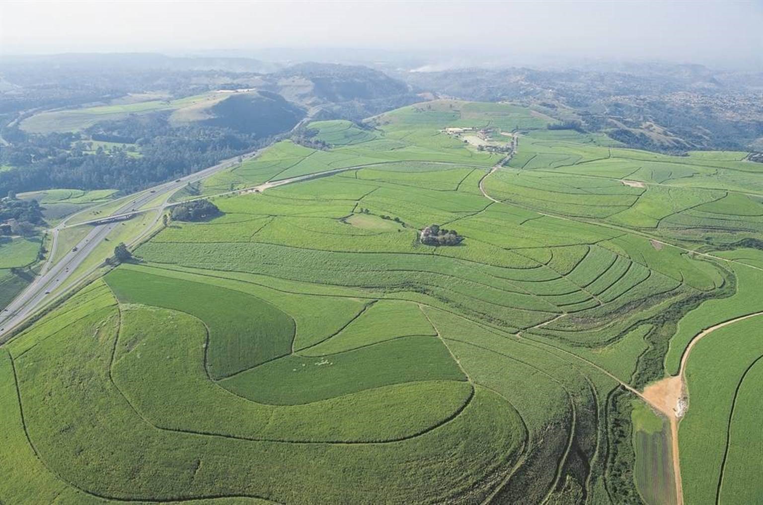 Tongaat crisis: Small farmers get money for Sept, but 300 bigger growers left unpaid