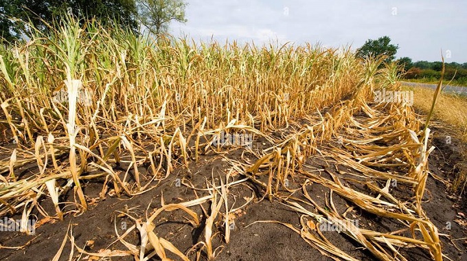 Climate change resilient agriculture vital for development