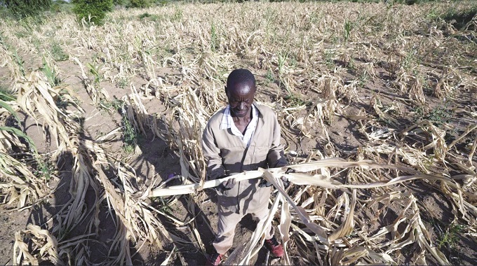 Worst drought in century devastates Southern Africa