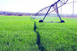 Another CIO loses case in farm wrangle