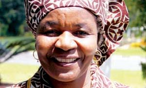 ZEC submits US$220m polls budget