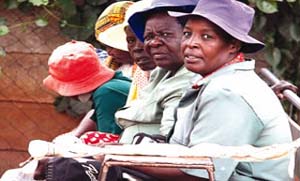 17 Harare City workers arrested for slashing residents’ maize
