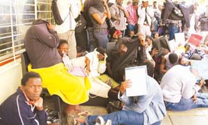 Make hay whilst the sun shines, President Mugabe urges diasporans