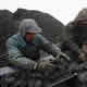 Parallel battles for King Coal