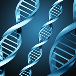 DNA tests could also reveal incest — study