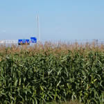 Farmers eye better yields