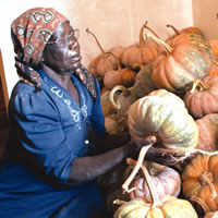 Age not an obstacle for successful urban farmer