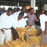Tobacco rakes in US$220m