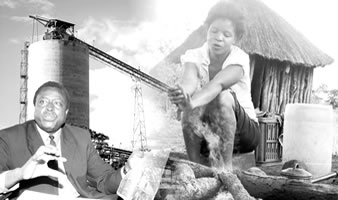 Mhondoro’s not-so-platinum side