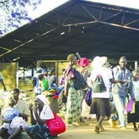 City gets ultimatum over illegal vendors