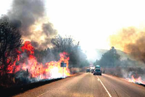 Zero tolerance on veldfires