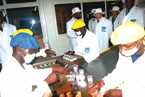 Dairibord shares snapped up