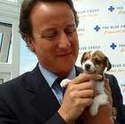 British prime minister brushes off Libyan war talk