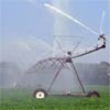 CFI disposes of Dore & Pitt stake