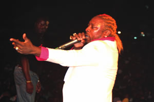 Violence mars Elephant Man gig