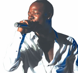 Promoter rubbishes Stunner