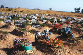 The dead who could not rest