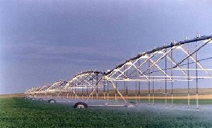 Farmer sues Zinwa for US$4,4 million