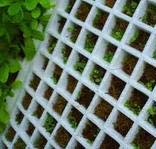 Growers snub float tray