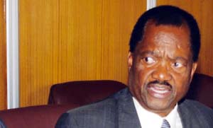 President to table sanctions issue at Sadc, says Gumbo