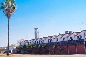 Lobels splits into two, as firm restructures