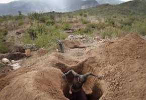 8 panners trapped to death