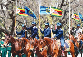 No to illegal land deals with white farmers, President