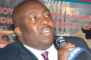 Kasukuwere reads riot act to RDCs